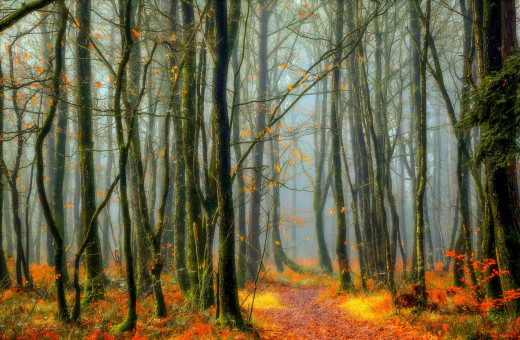 1132368 (a): :2560x1669
